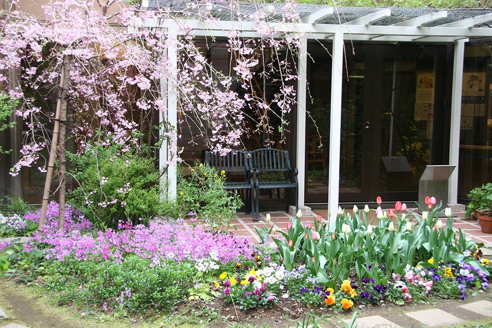 🎨 치히로 미술관・도쿄 이미지 6